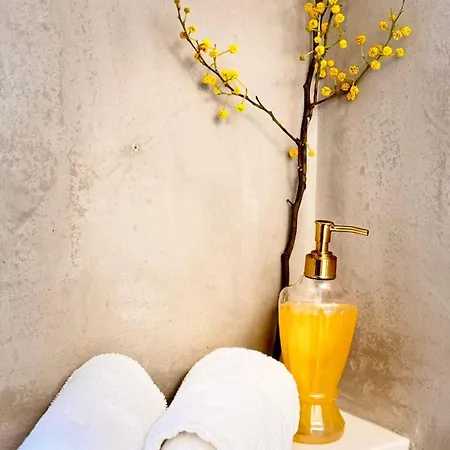 Mykonos Nests - Sea View Escape Lejlighed